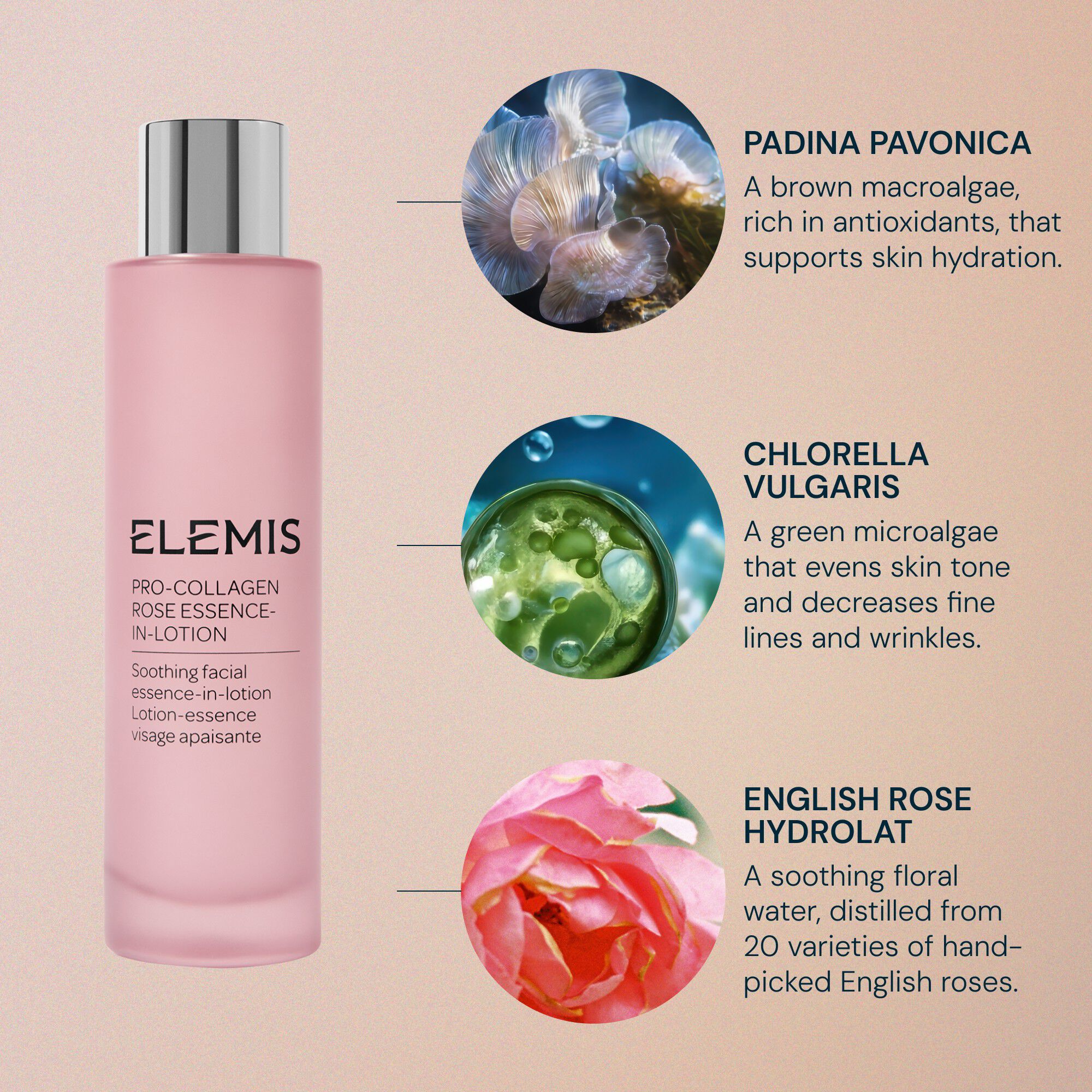 Pro-Collagen Rose Essence-In-Lotion