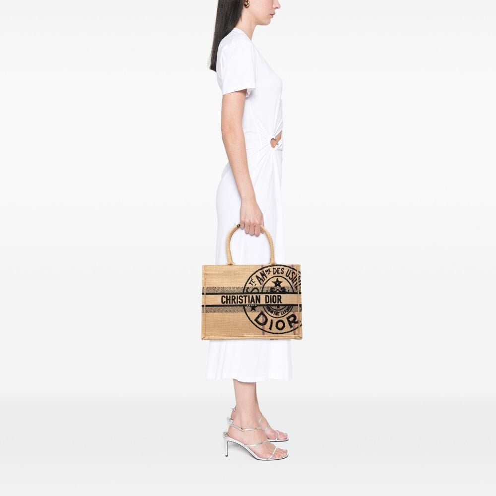 Dior Book Tote