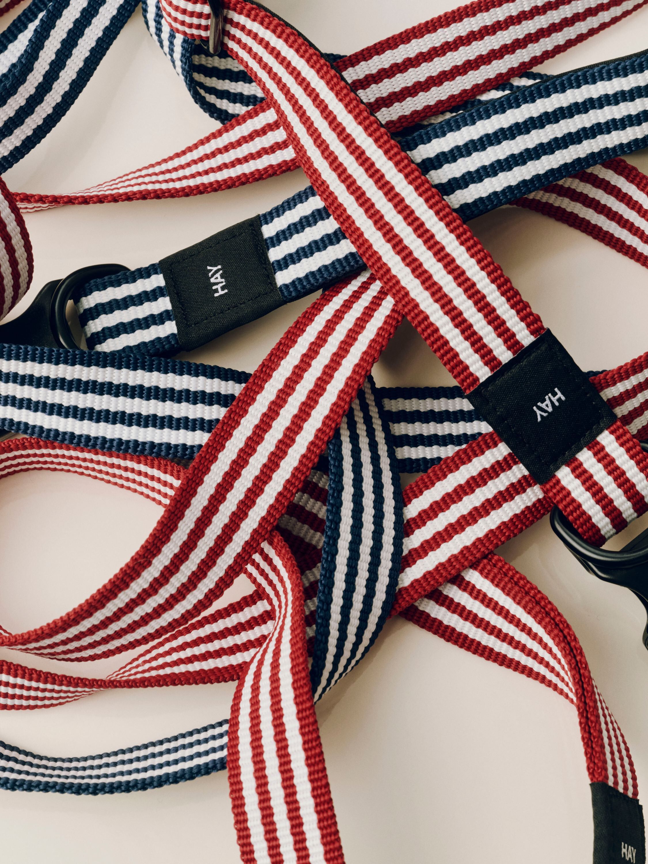 HAY Dogs Leash-Flat M/L-Blue and wh