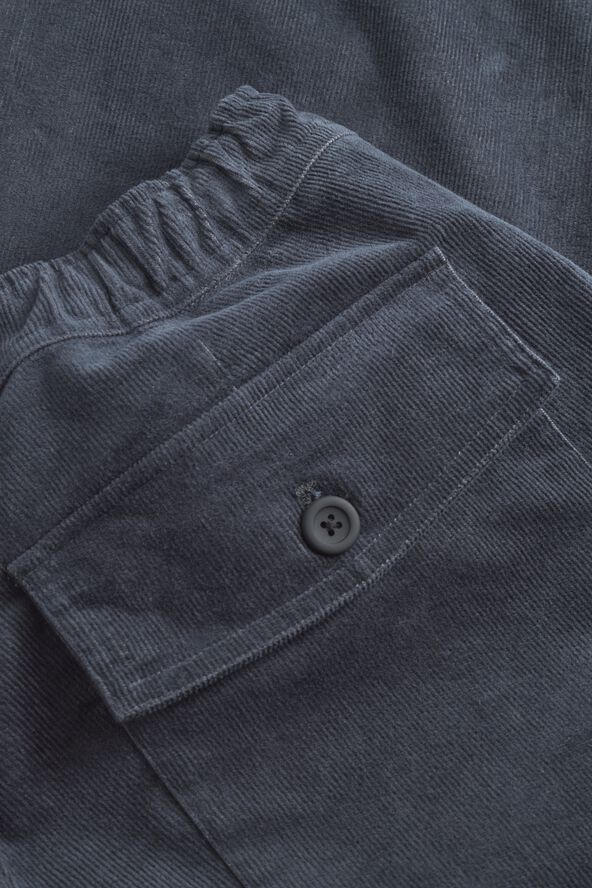 Ragnar 2. 0 Relaxed Solotex Corduroy Pant