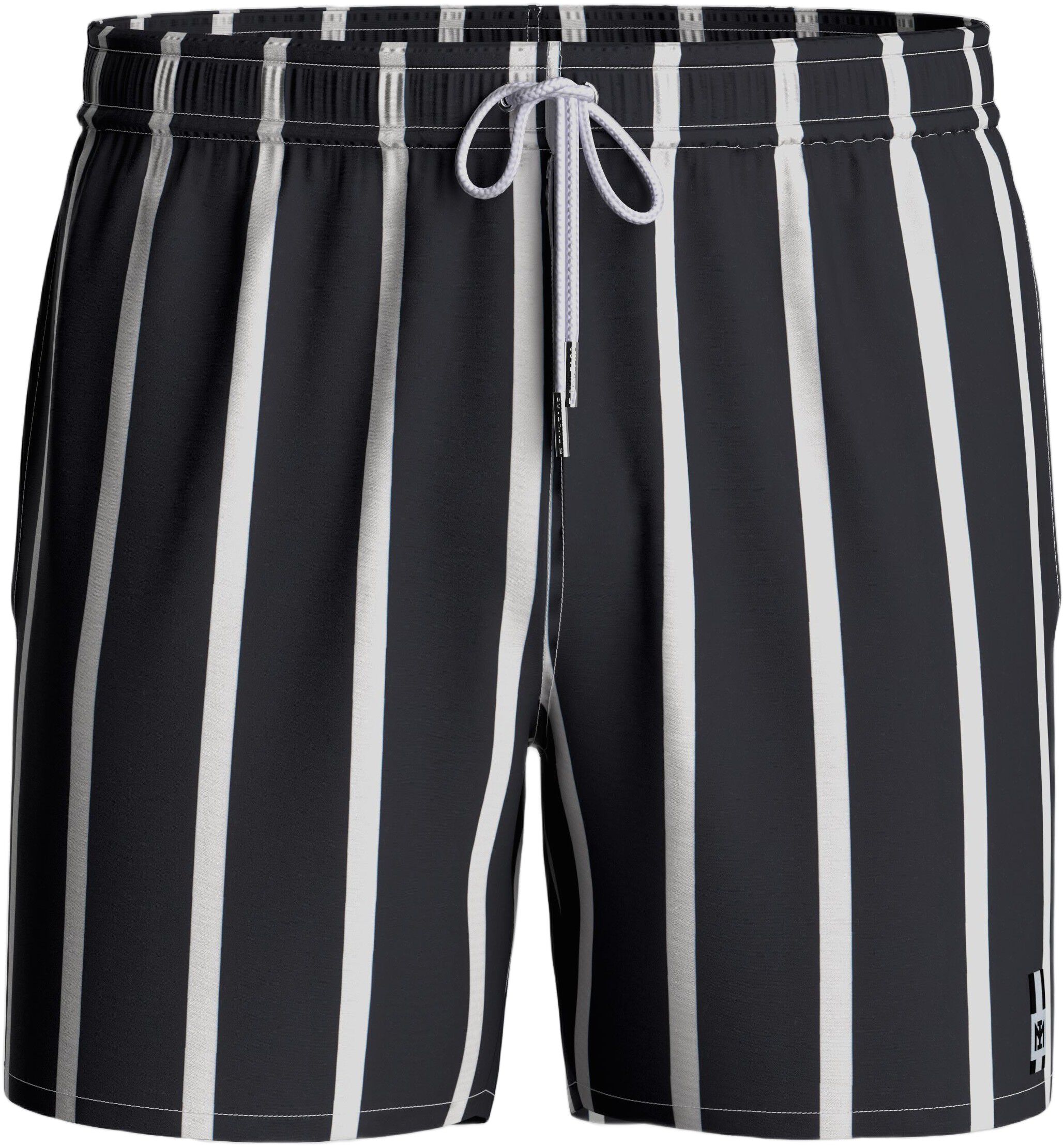 Striped Swim Shorts