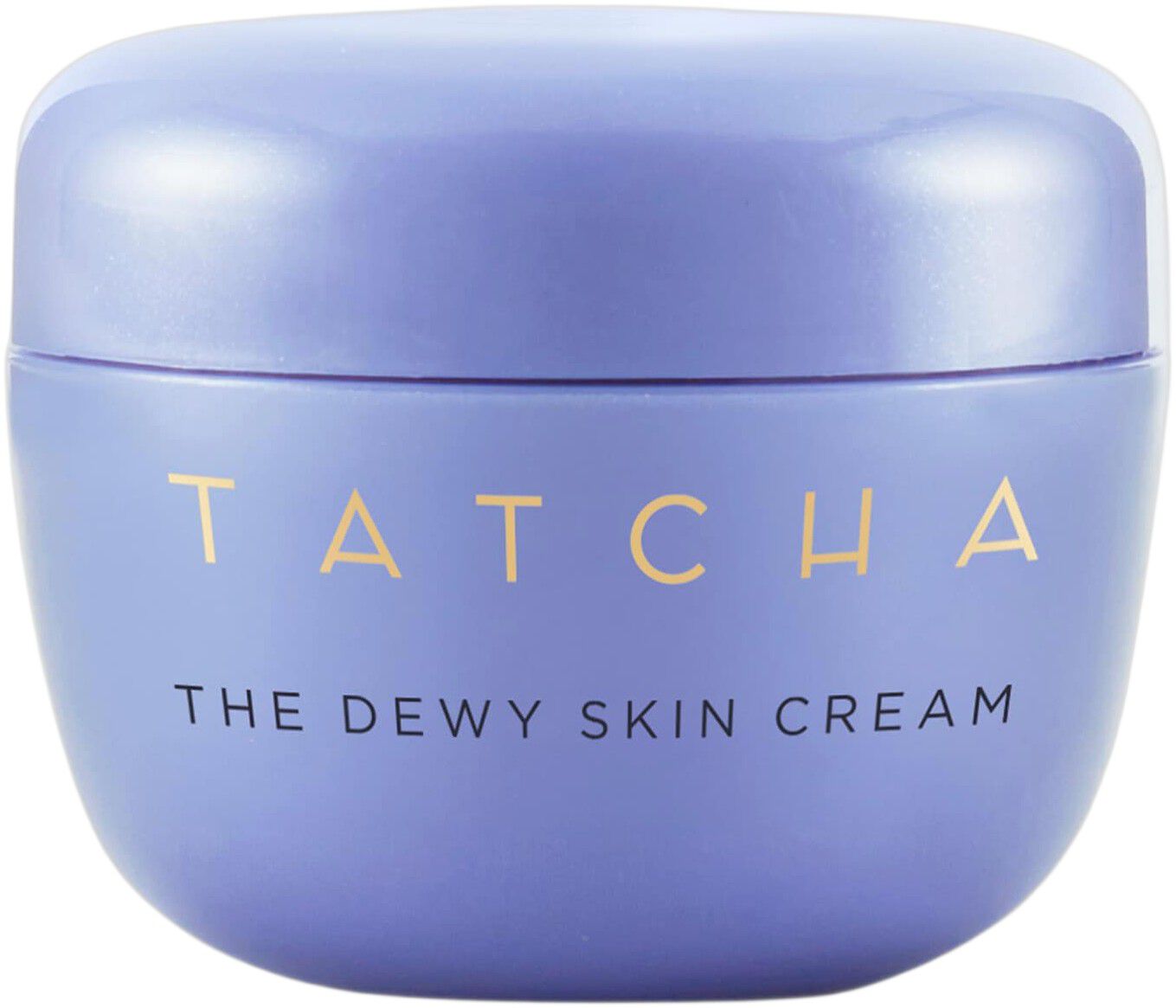 The Dewy Skin Cream - Rik och fyllig fuktkr&auml;m