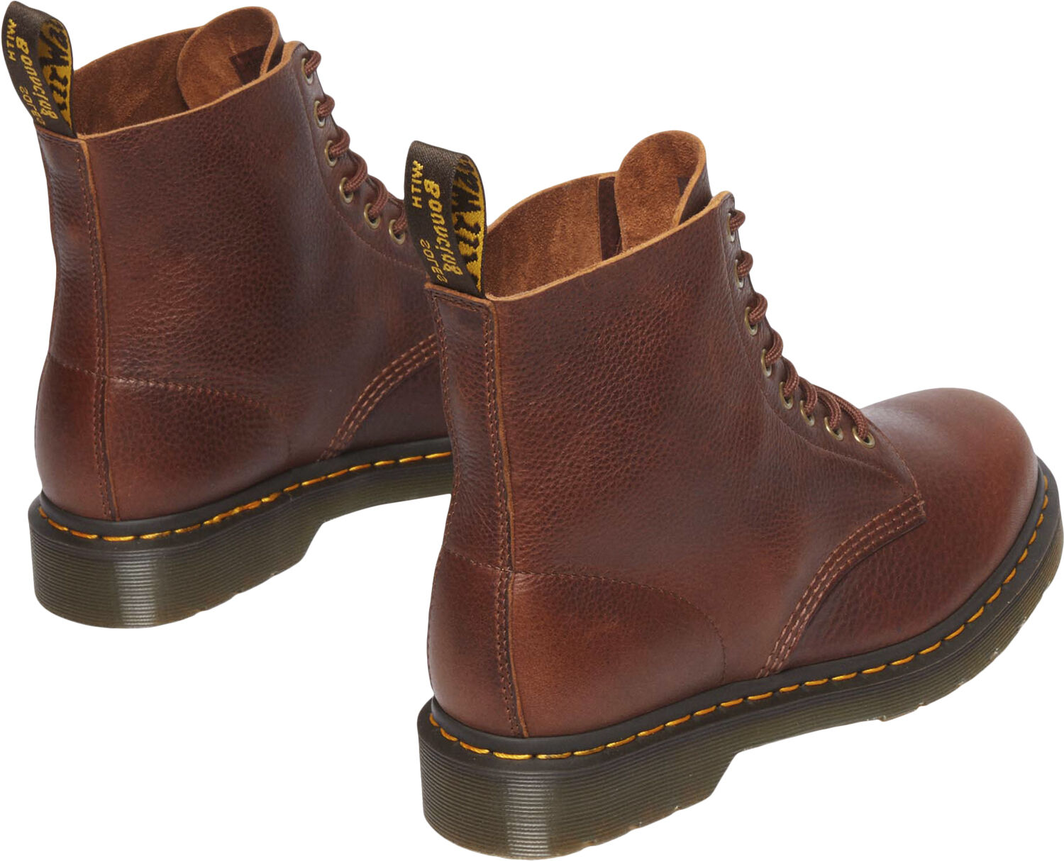 1460 Pascal Cashew Ambassador