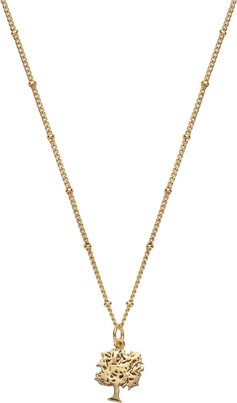 Global Goal #15: Tree of Life