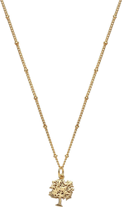 Global Goal #15: Tree of Life