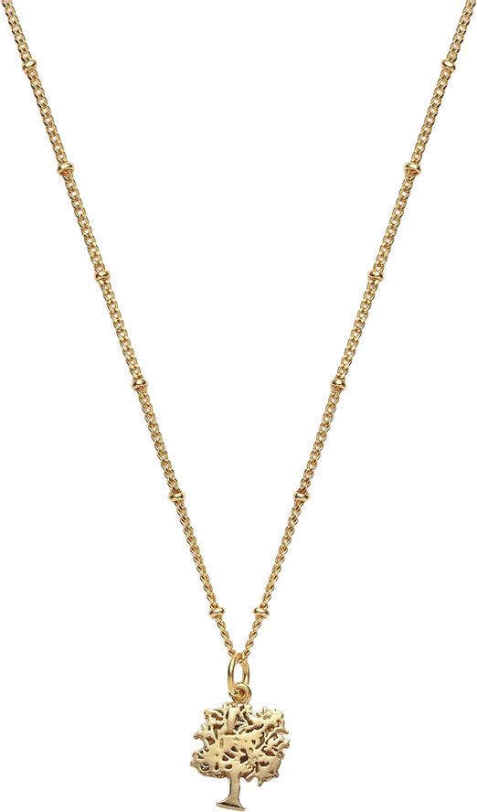 Global Goal #15: Tree of Life