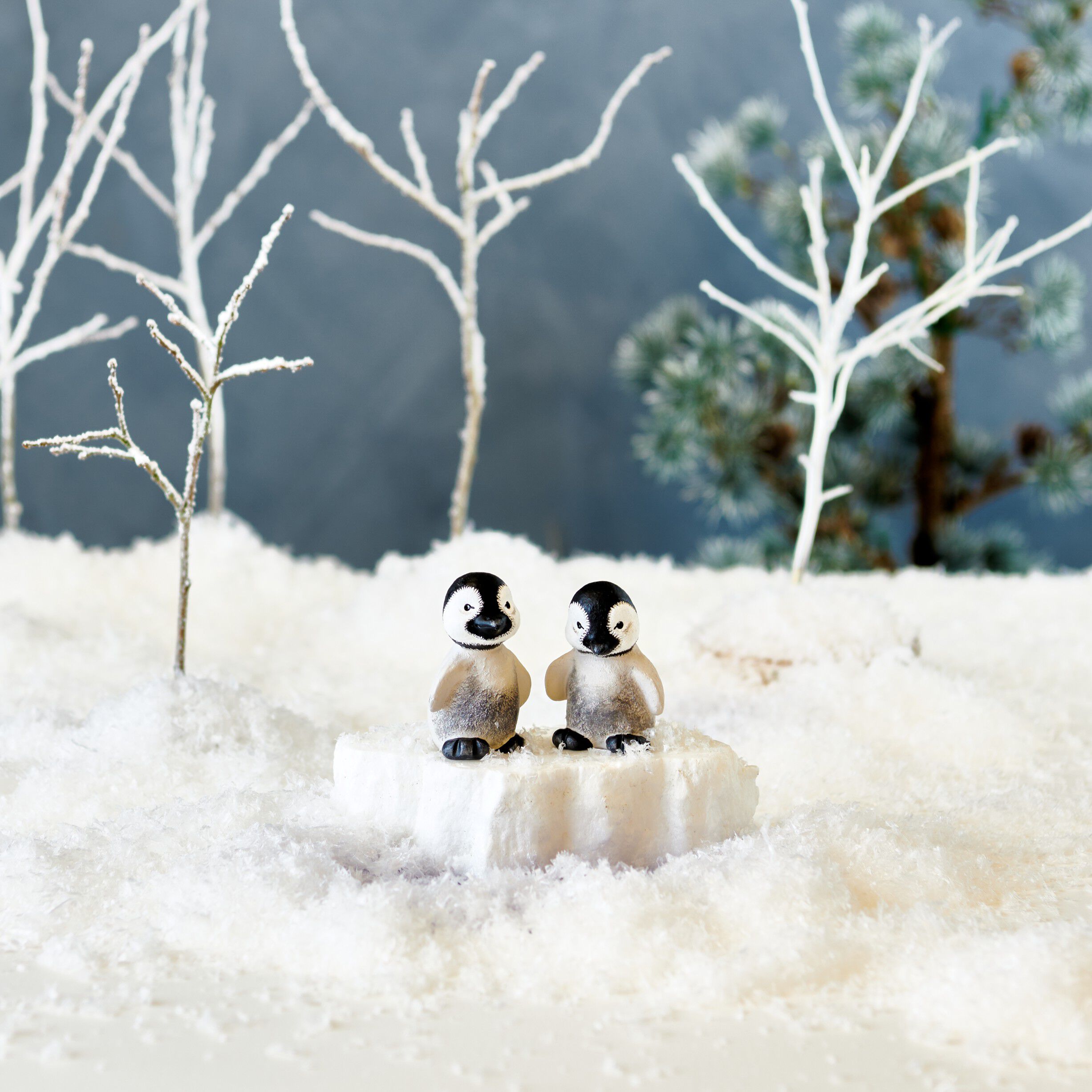 Babypingviner Pingo & Pjevs