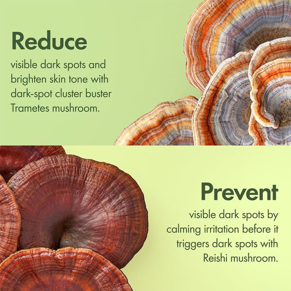 Dr. Weil Mega-Mushroom Dark Spot Correcting Brightening Moisturizer