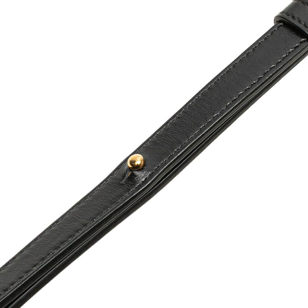 Celine Crossbody Bag