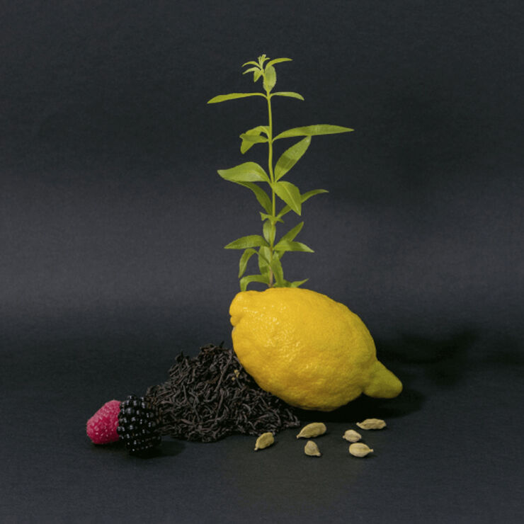 HAND CREAM BLACK TEA 300 ML