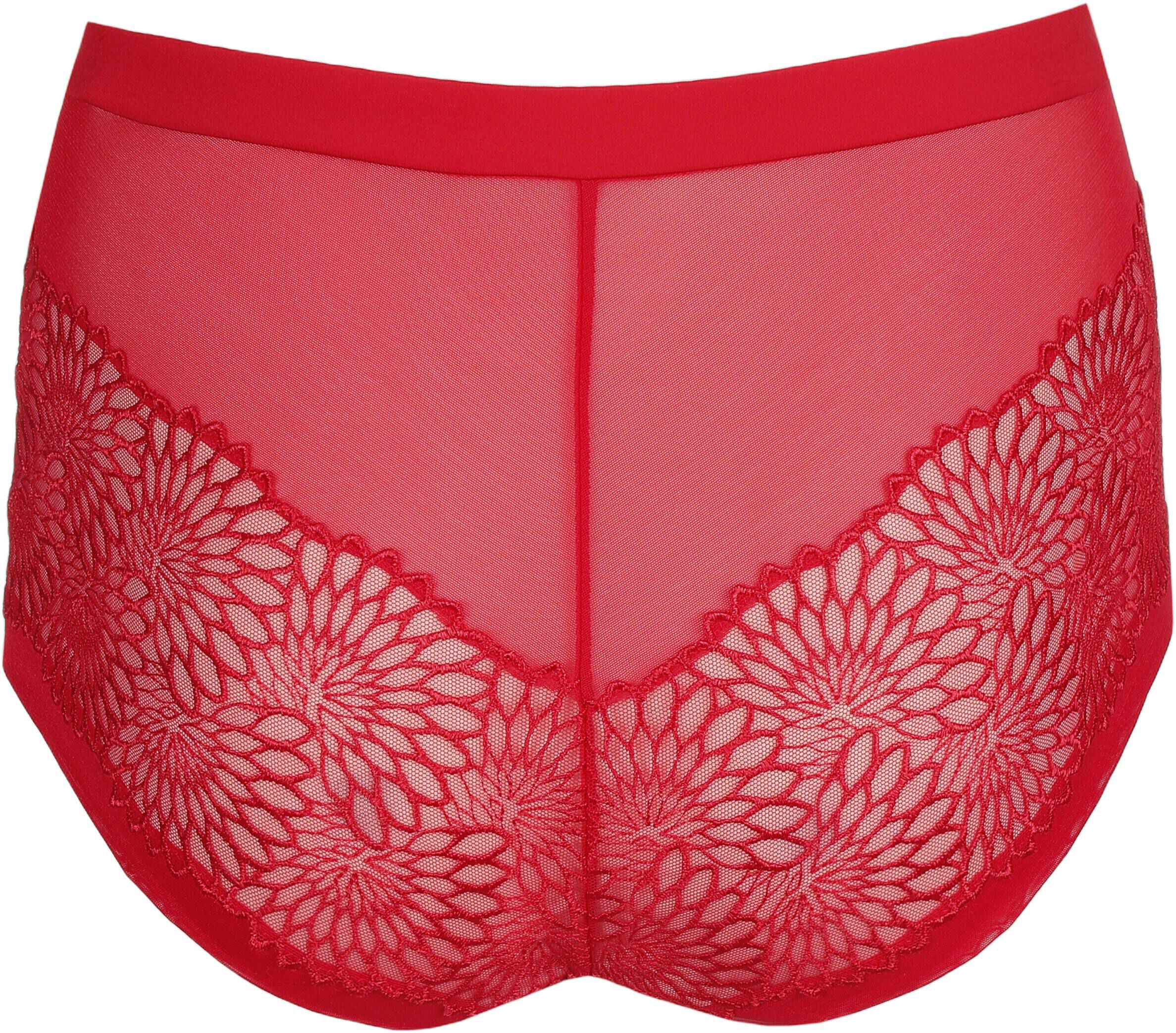 Sophora hotpants