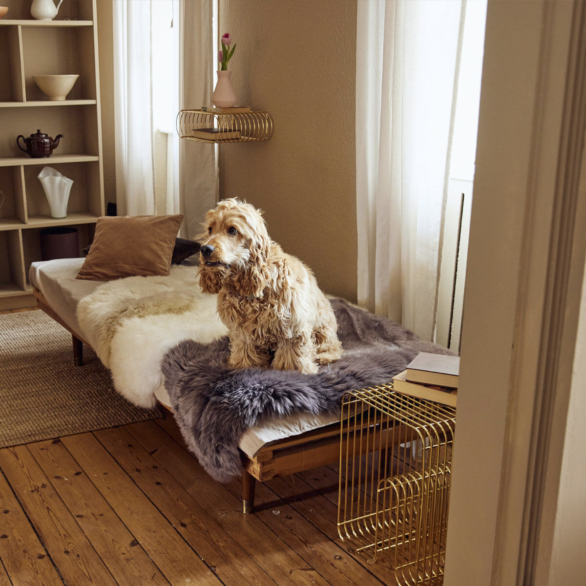 90cm-up New Zealand Sheepskin, Long Wool Dark Grey/ 90x60