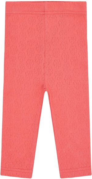 Leggings Hclisa Pointelle