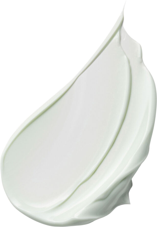 DayWear Anti-Oxidant Cream SPF 15 Dry