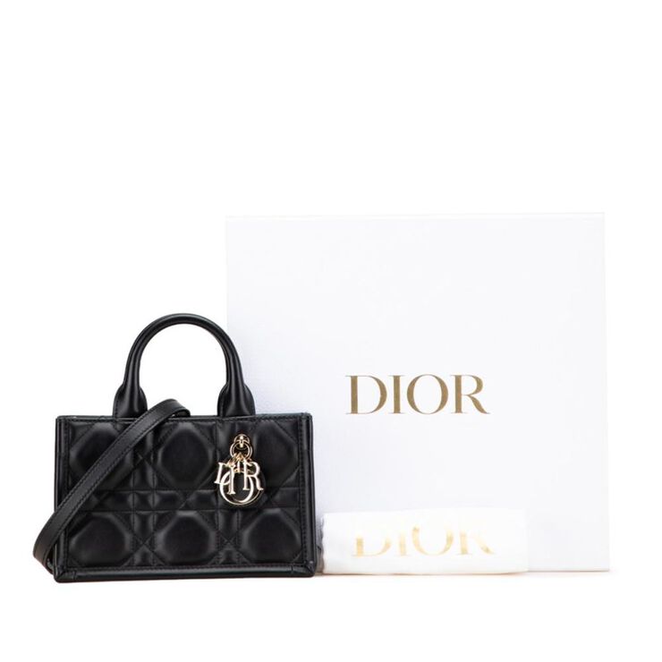 Dior Book Tote