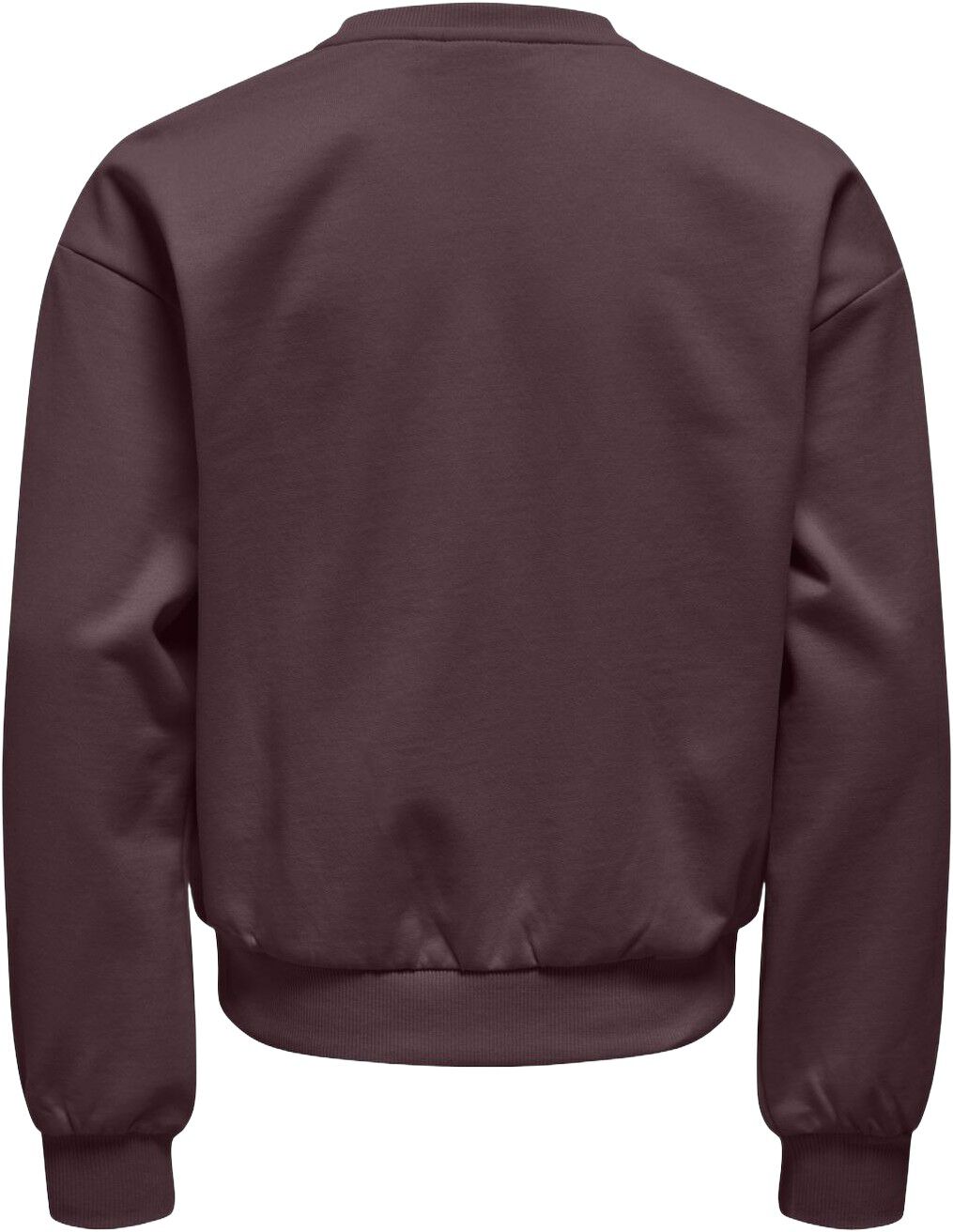 Kognaomie Ls Boxy O-Neck Printed Swt