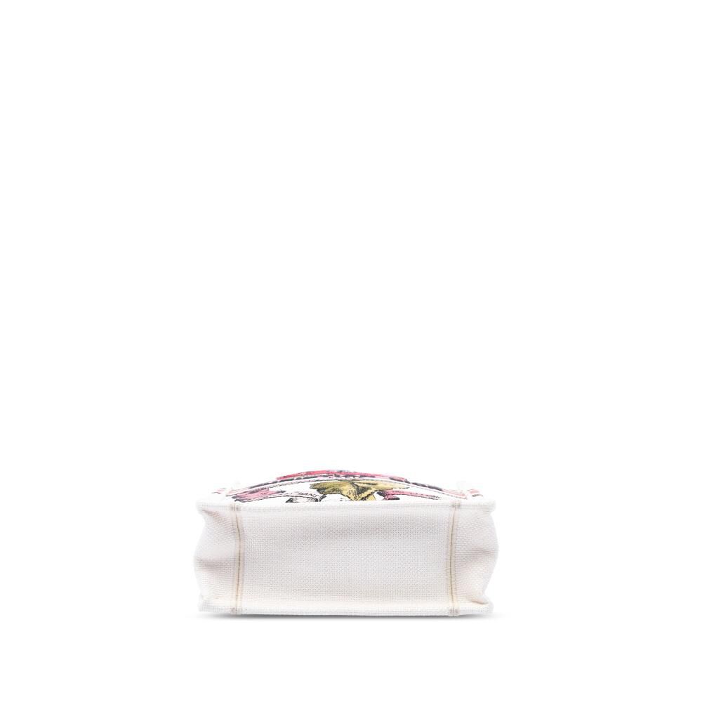 Dior Book Tote