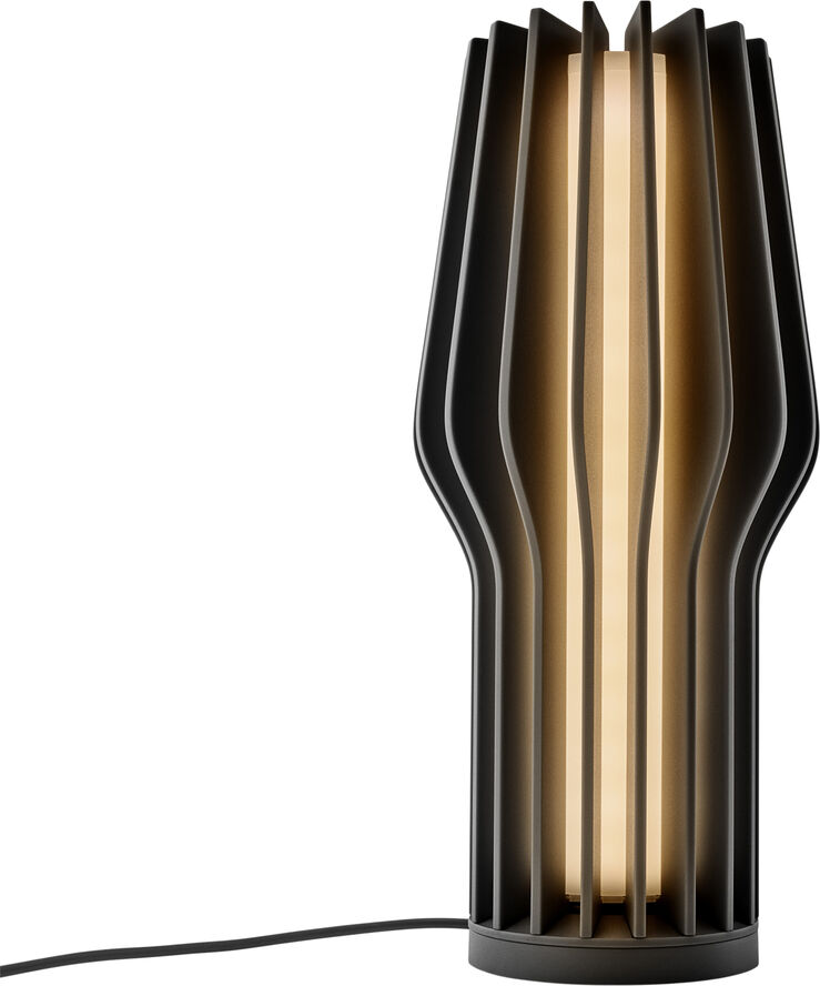 Radiant LED Portable Table Lamp