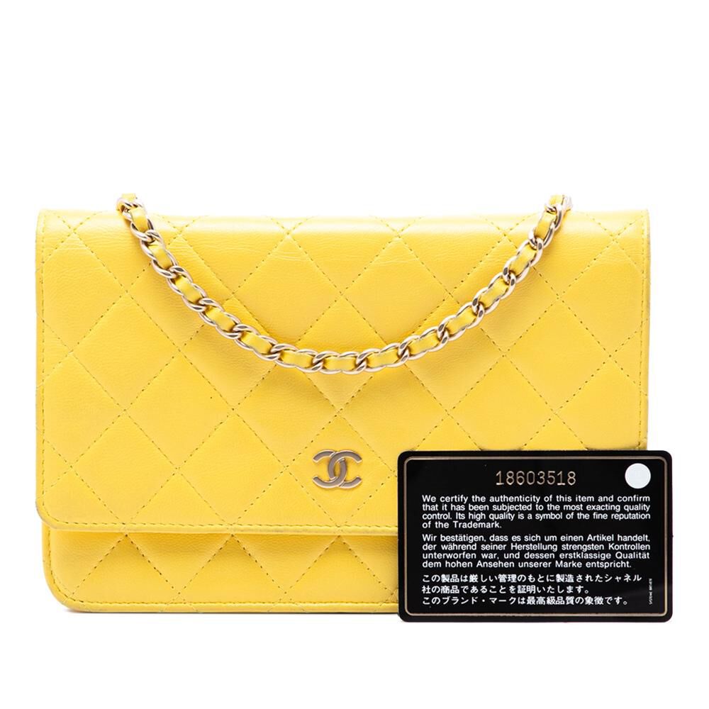 Chanel Flap Bag