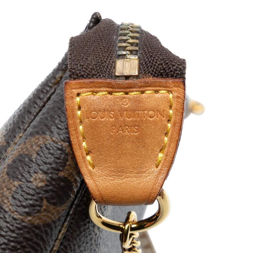 Louis Vuitton Pochette Accessoires