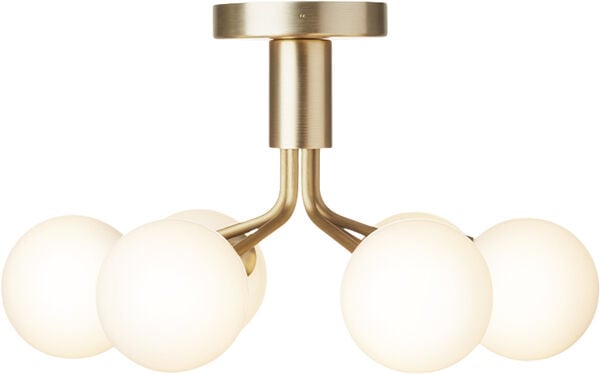 Apiales 6 Ceiling, brushed brass / opal