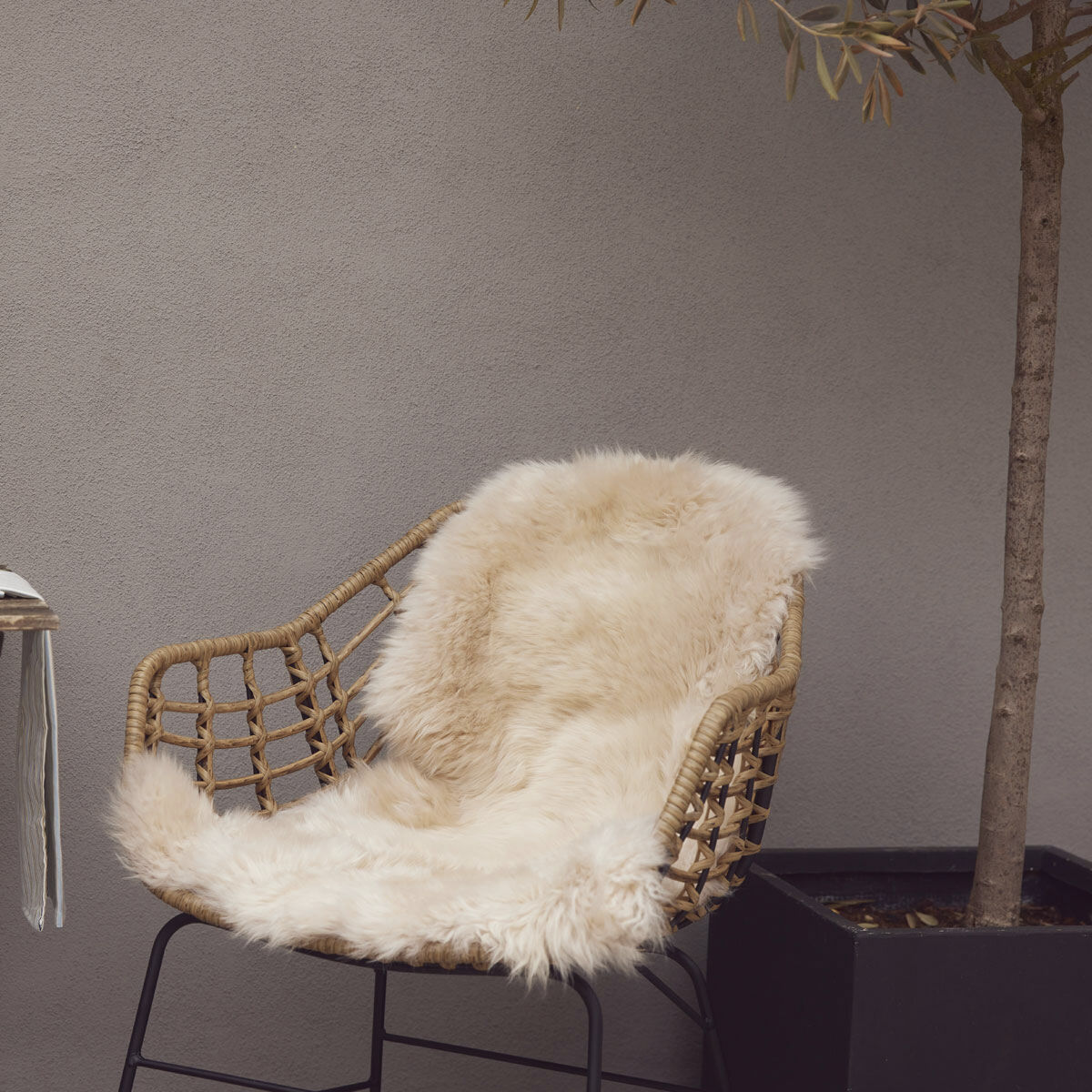 90cm-up New Zealand Sheepskin, Long Wool Beige 90x60