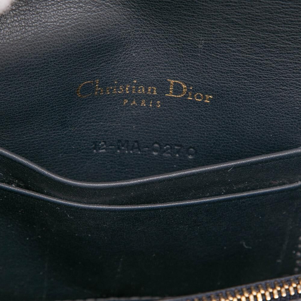 Dior Belt Bag