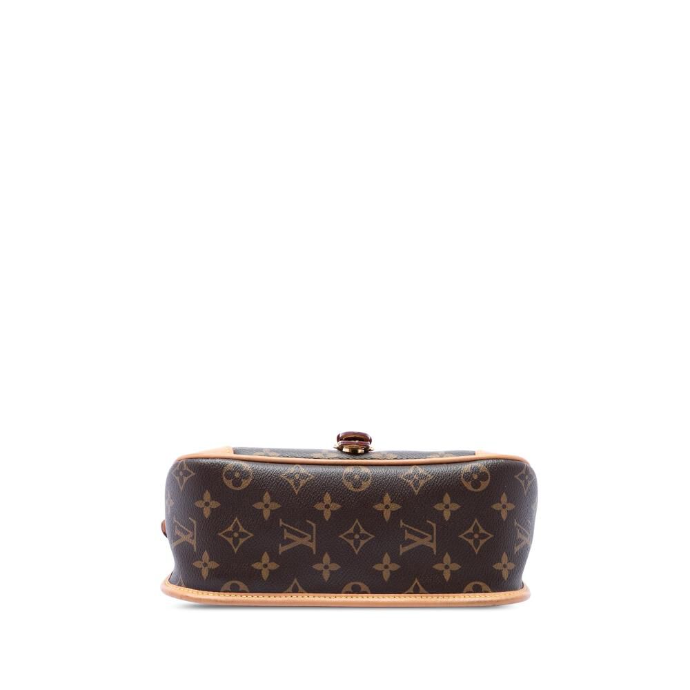 Louis Vuitton Shoulder Bags