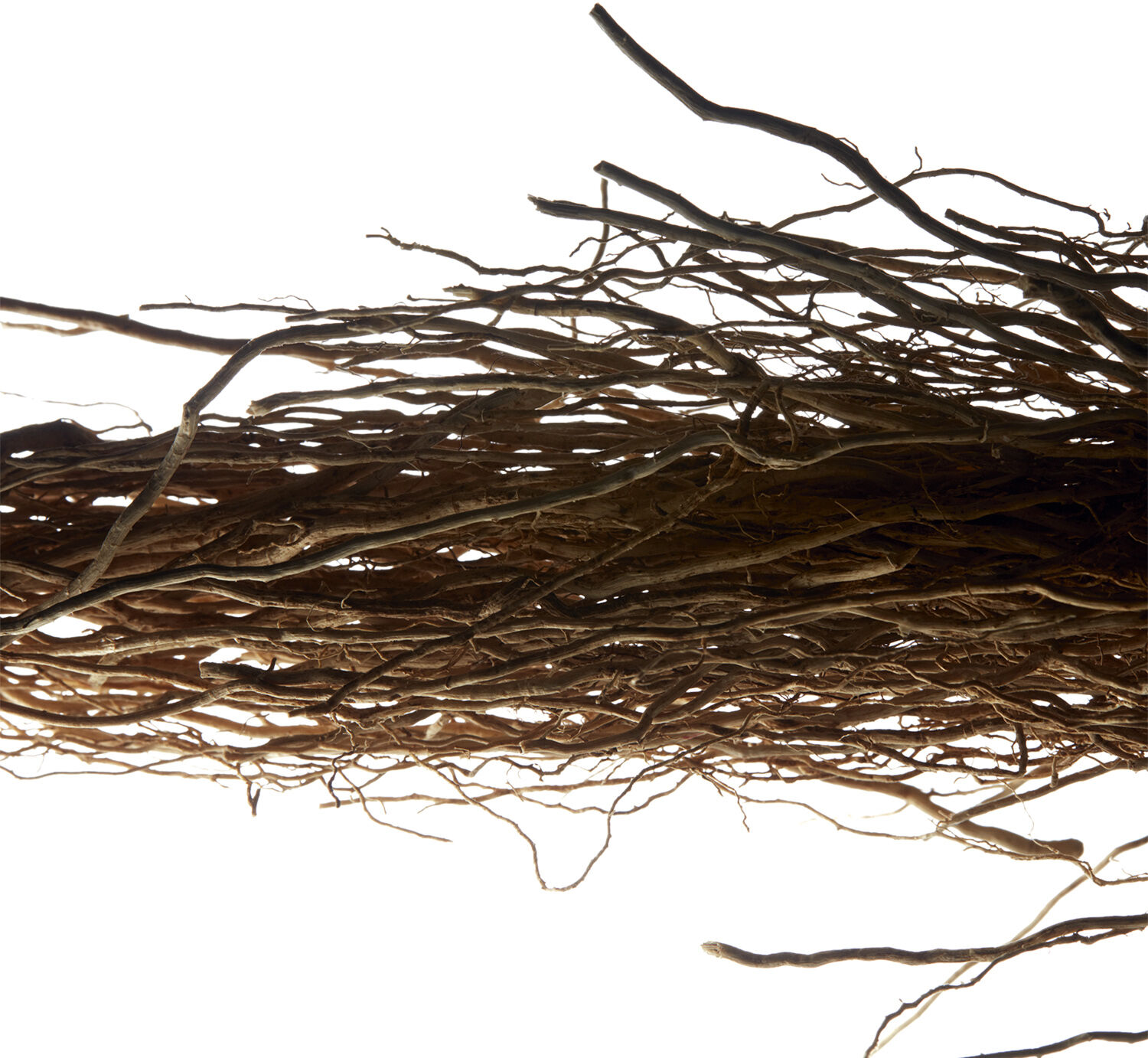 L'Homme Eau De Toilette