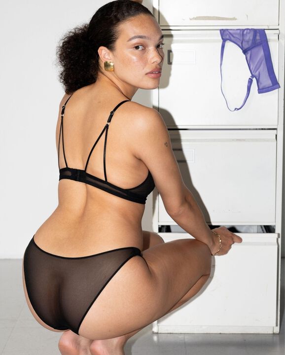 Mesh Bikini Briefs