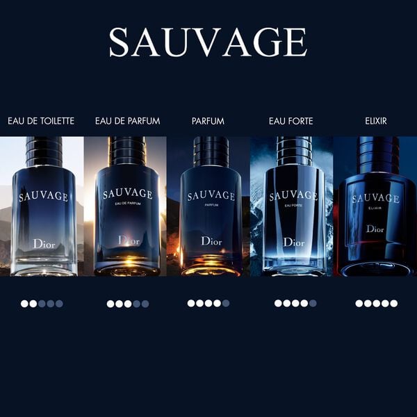 Sauvage Edt Travel Spray30ML INT25
