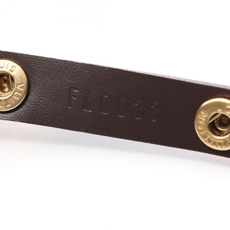 Louis Vuitton Florentine Pochette