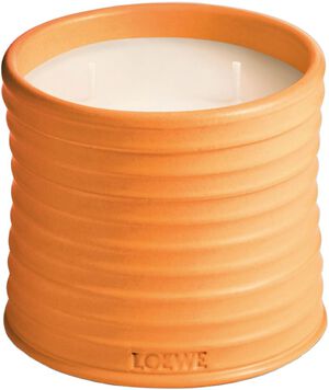 LOEWE Medium Orange Bloss Candle