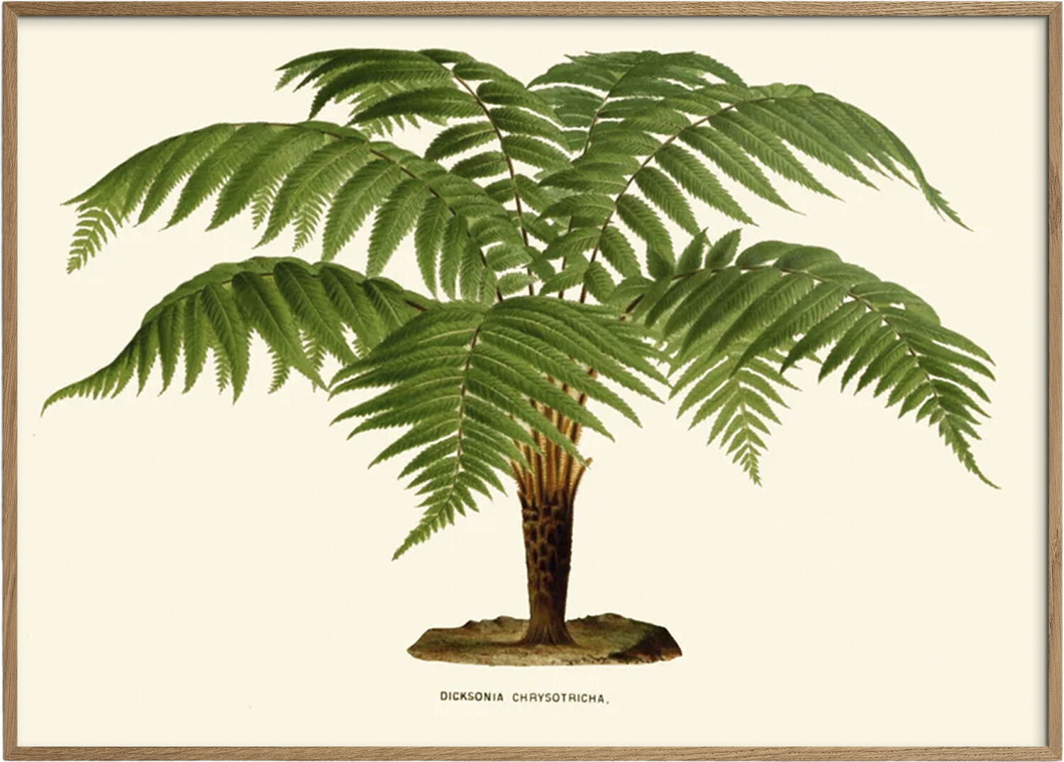 Artimuus - Artimuus 102