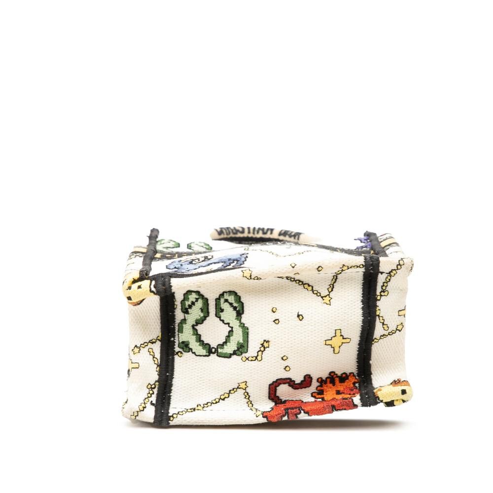 Dior Book Tote