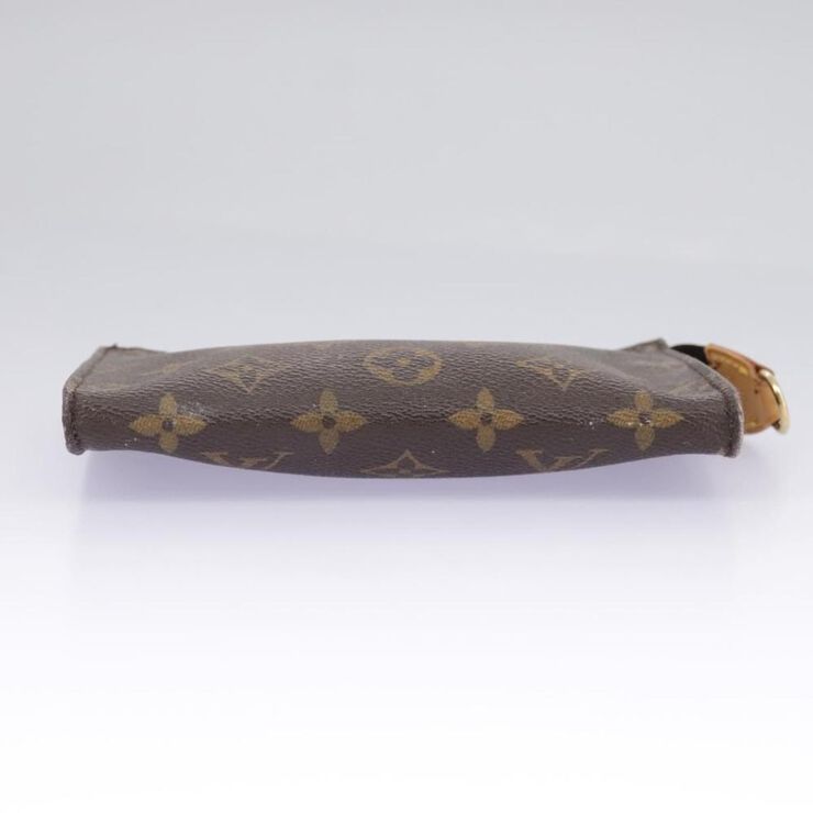 Louis Vuitton Pouch