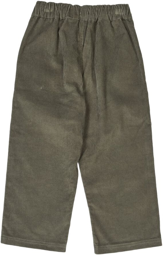 Corduroy pants
