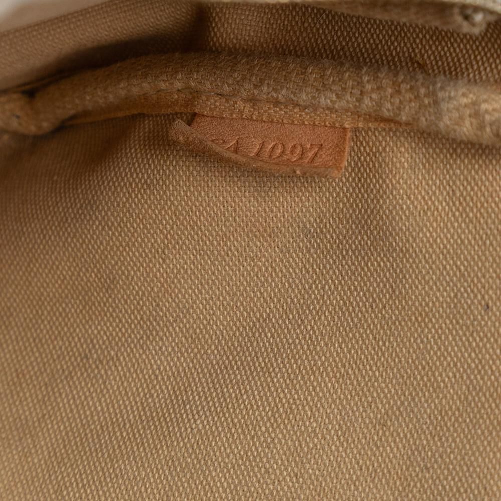 Louis Vuitton Pochette Accessoires