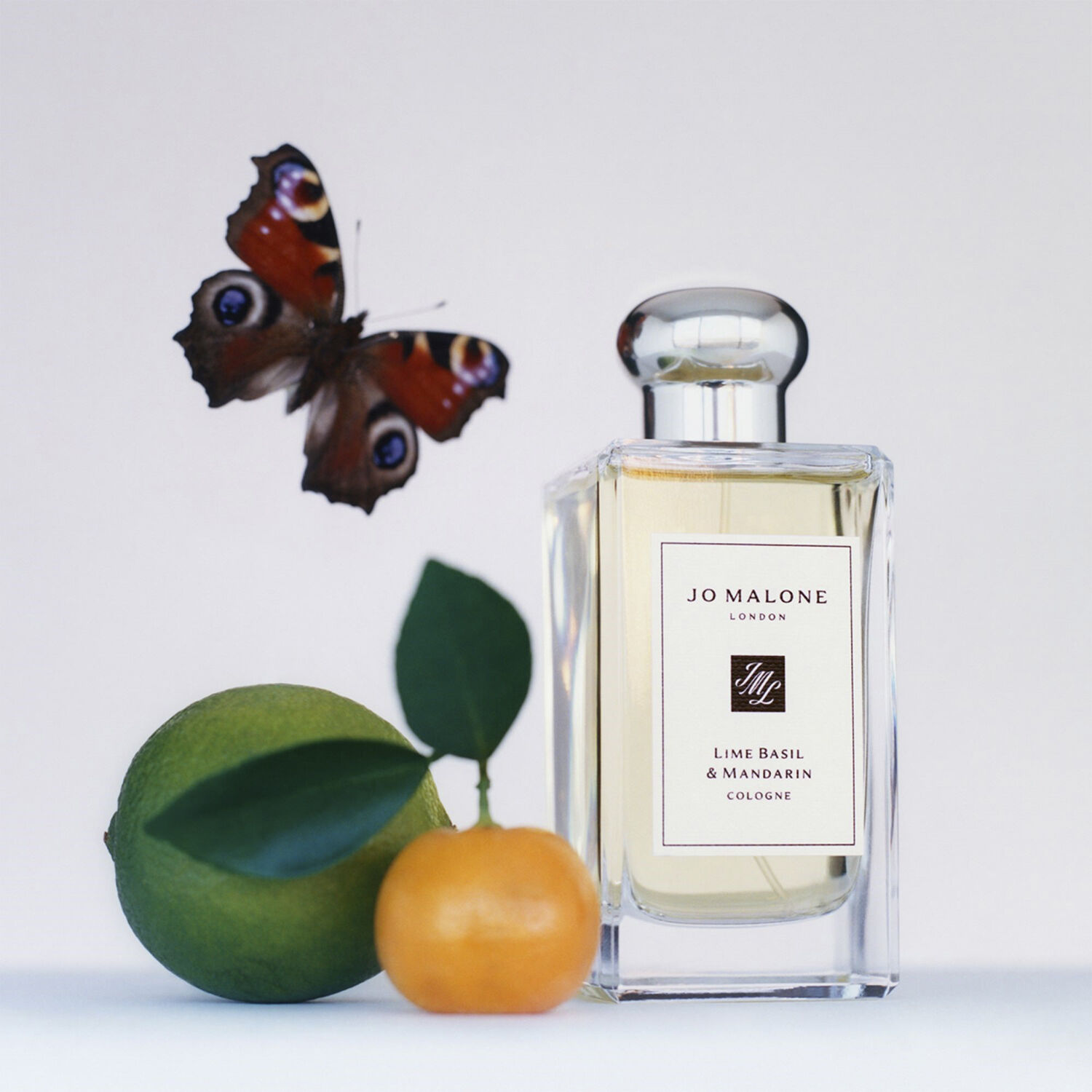 Lime Basil & Mandarin Cologne
