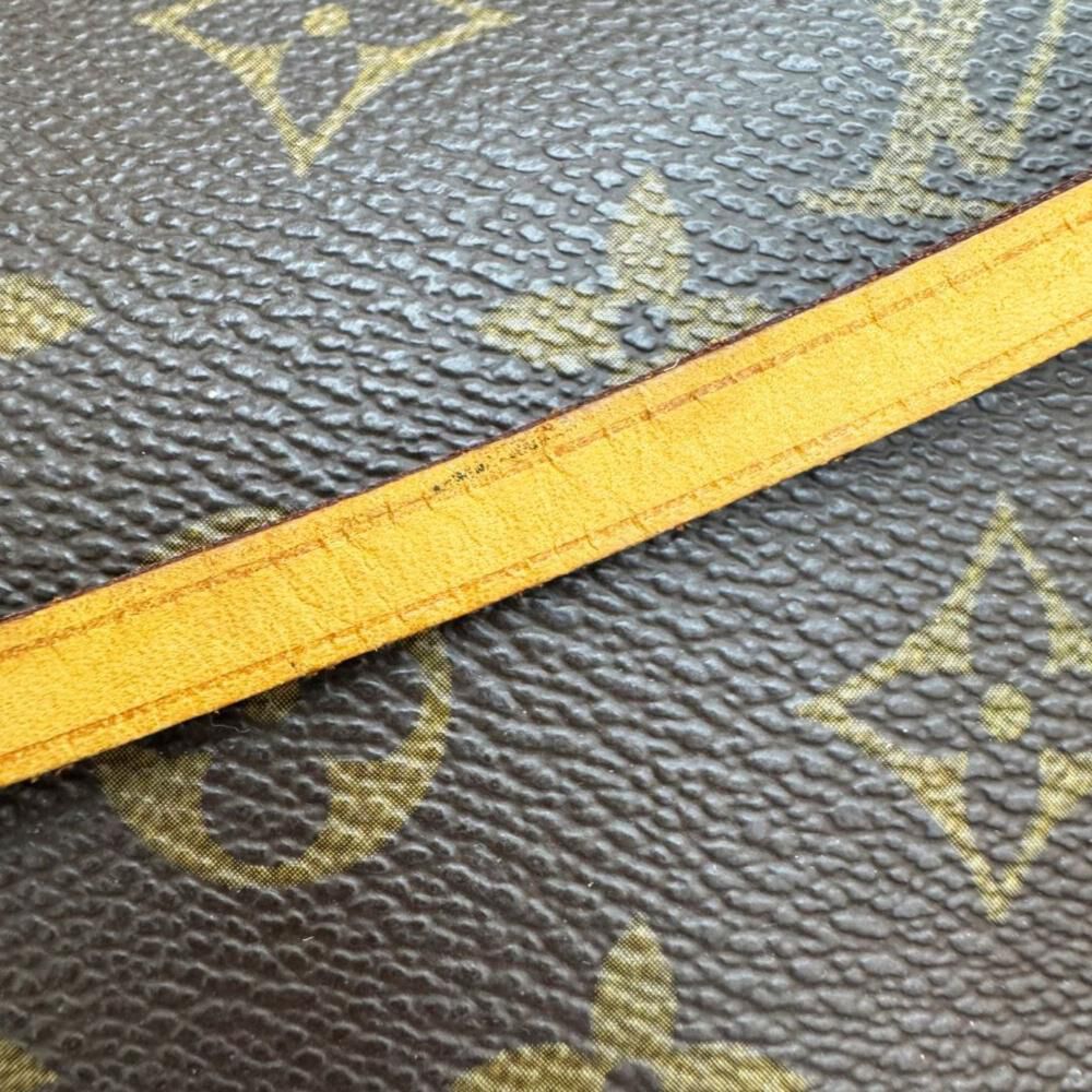 Louis Vuitton Pochette Accessoires