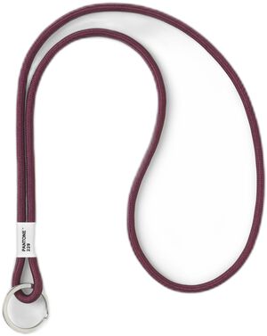 Pantone KEY CHAIN LONG Aubergine 229