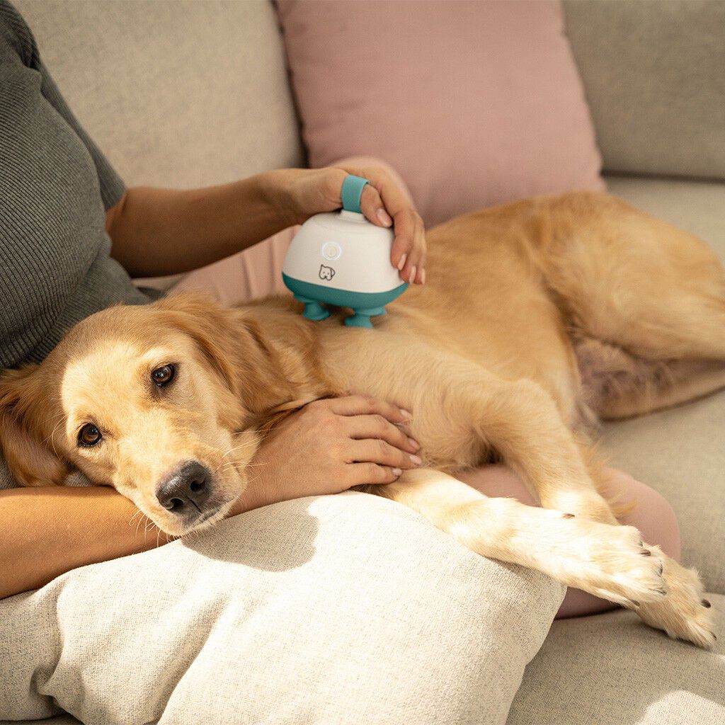 PetCare PP 410 Buddy Massageapparat f&ouml;r husdjur