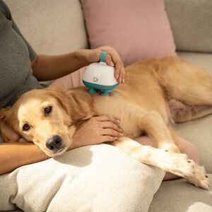 PetCare PP 410 Buddy Massageapparat för husdjur