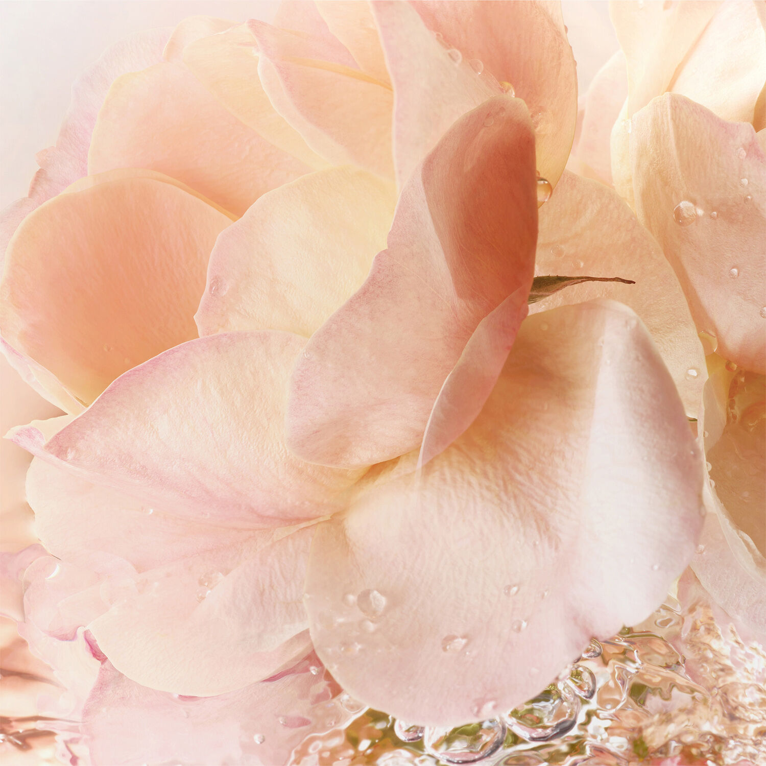 Idole Eau de Toilette