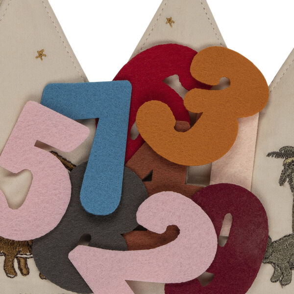 BIRTHDAY CROWN
