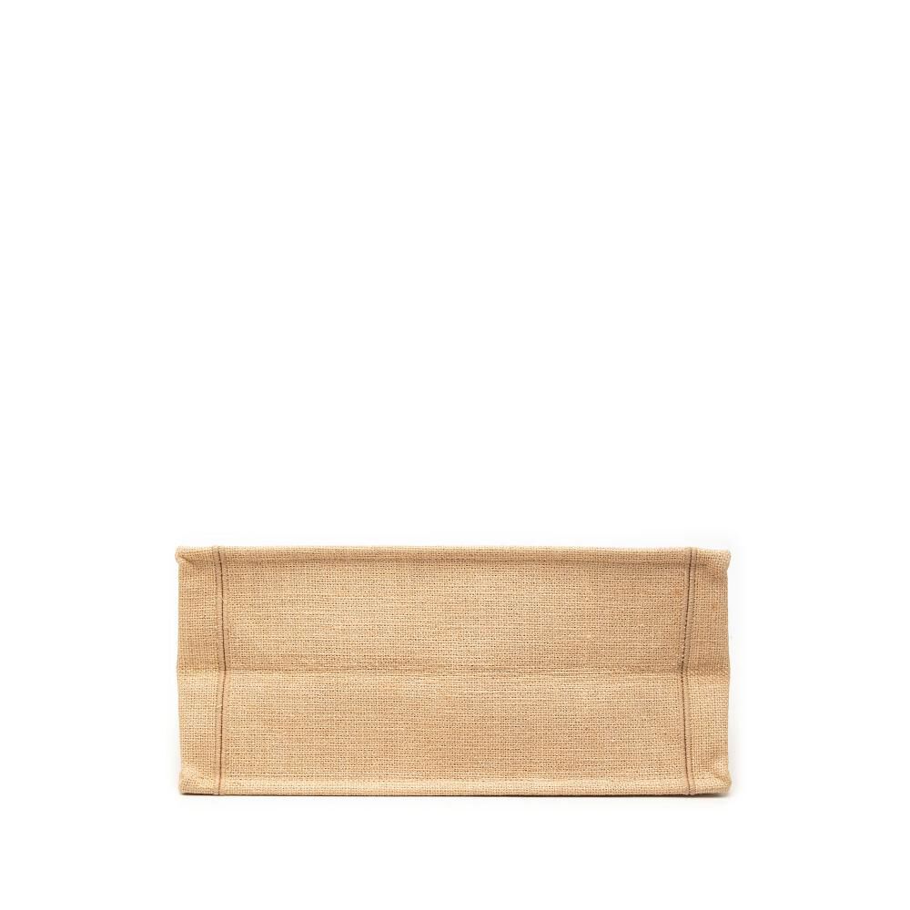 Dior Book Tote