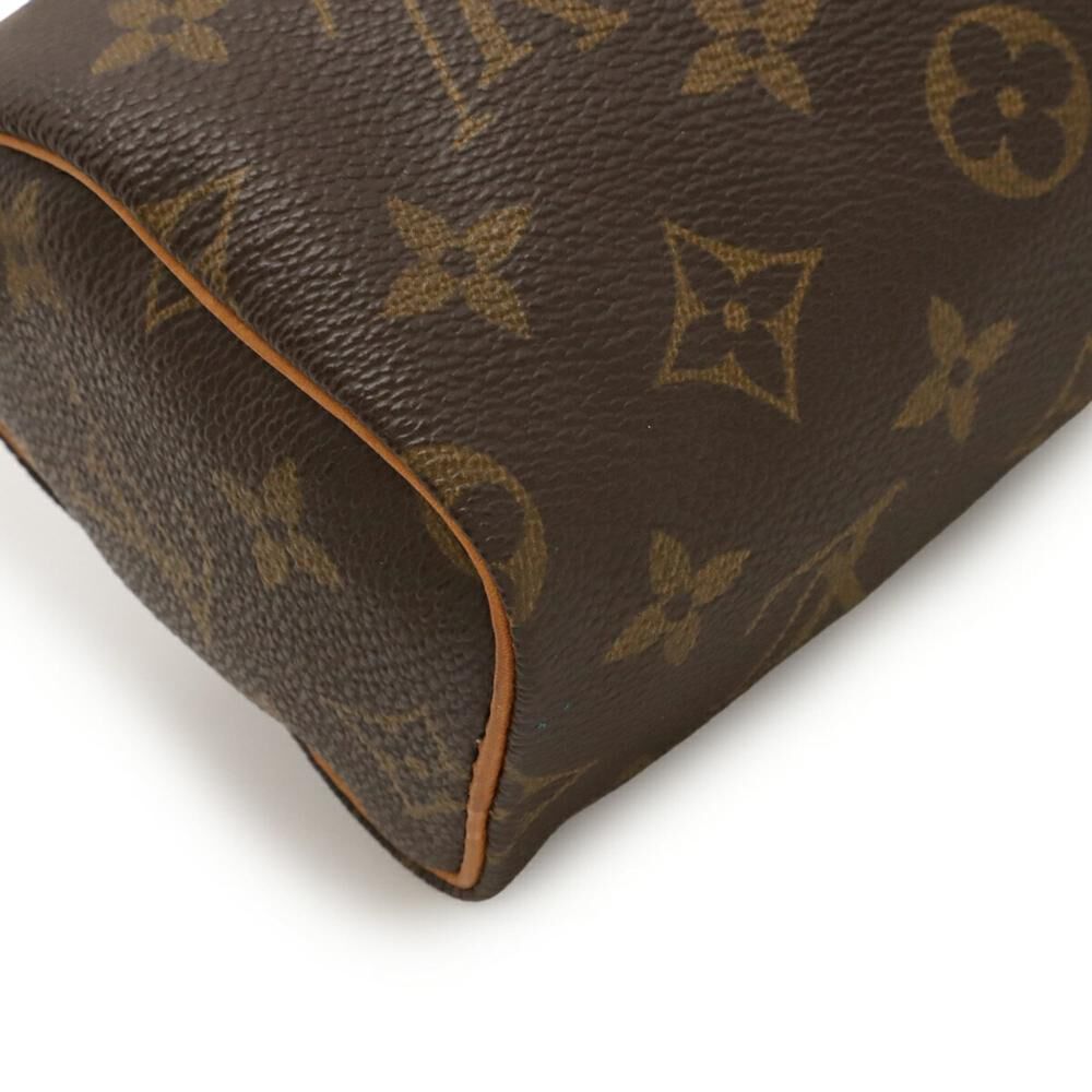 Louis Vuitton Speedy