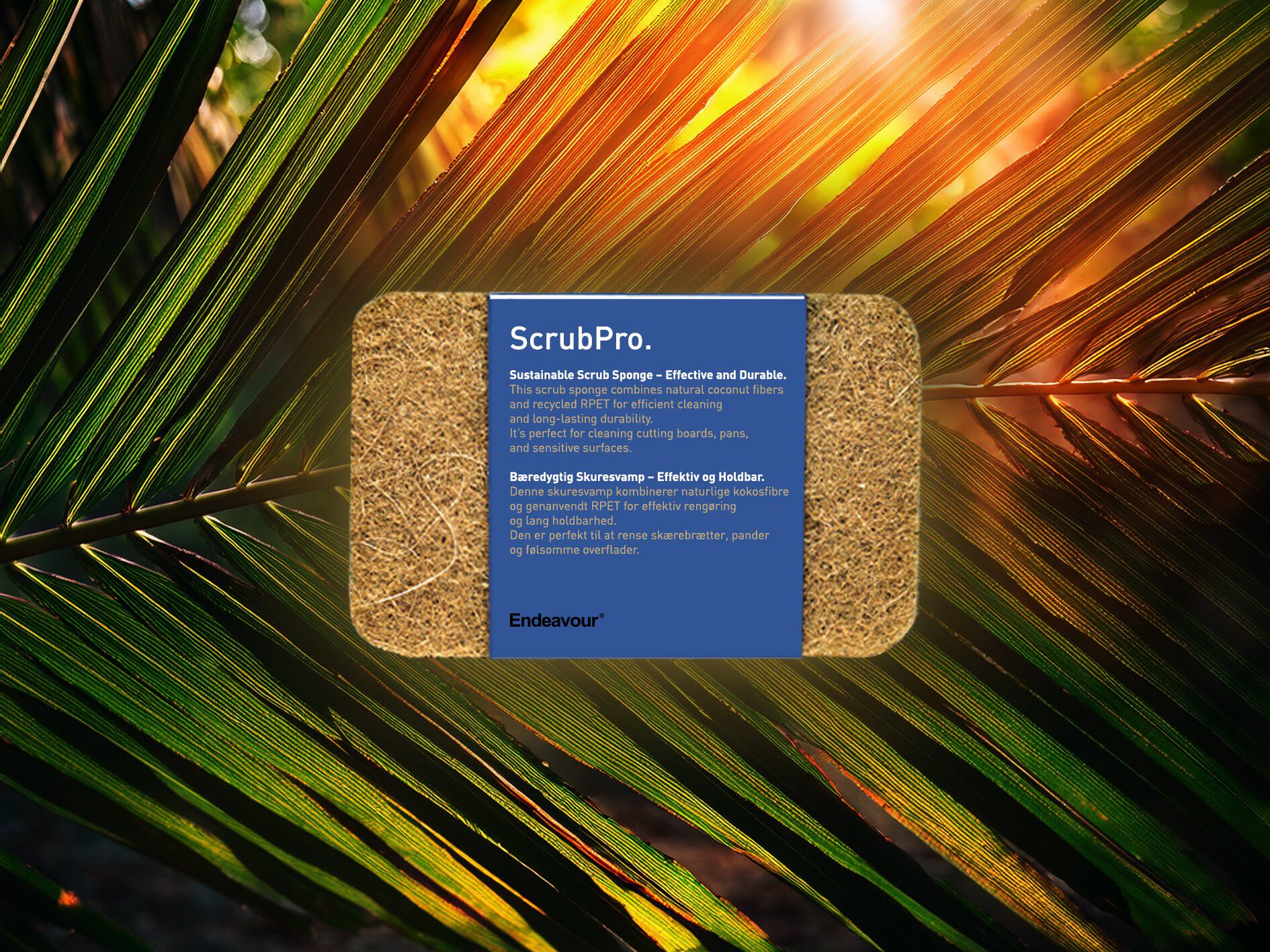 ScrubPro svampe 2 stk.