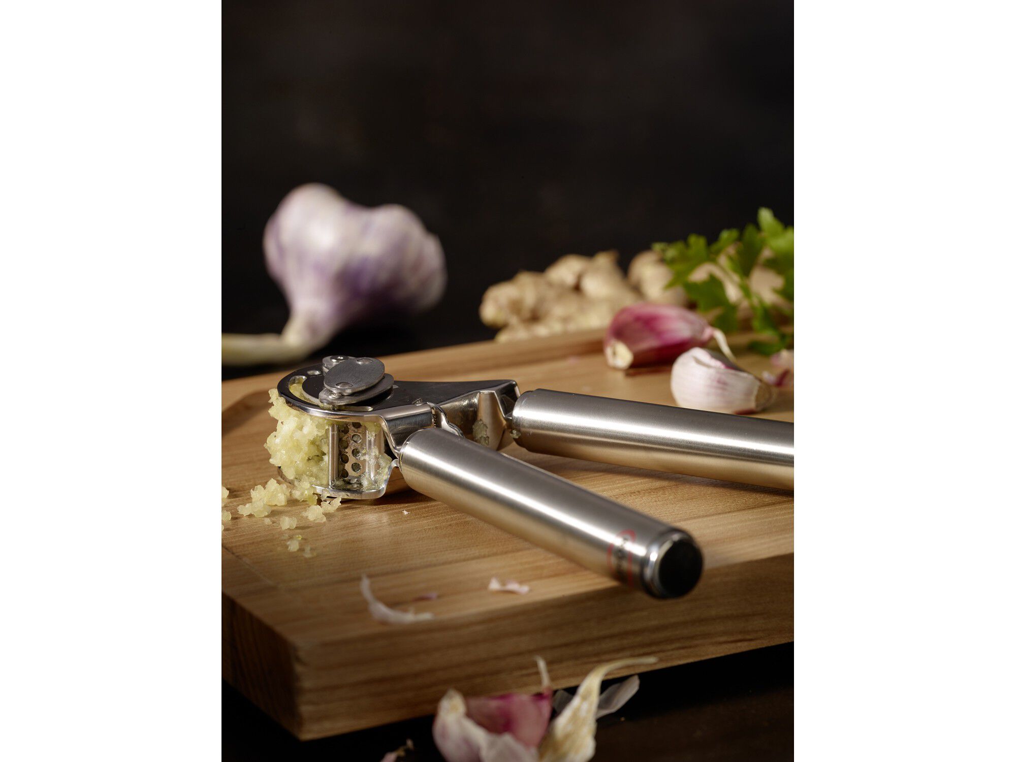 Vitl&ouml;kspress 20 cm St&aring;l