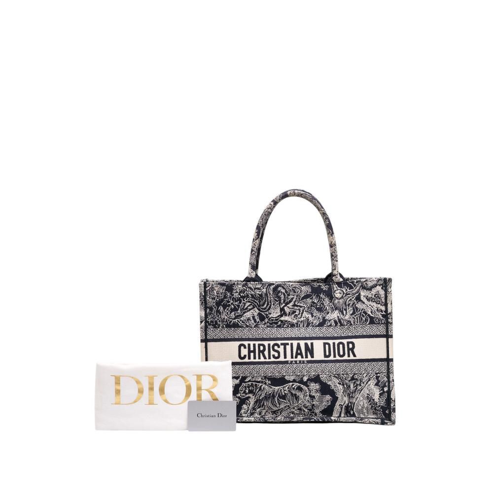 Dior Book Tote